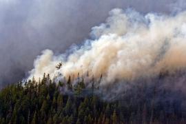 Incendiile de vegetație din Rusia amenință un important centru nuclear din orașul Sarov. Autoritățile au declarat situație de urgență