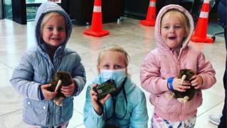 Descoperire tulburătoare într-o casă: Trei fetiţe au fost găsite moarte, iar mama lor este principala suspectă de crimă, în Noua Zeelandă