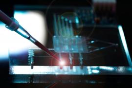 În plină criză a semiconductorilor, două fabrici din Germania au fost nevoite să-şi oprească activitatea din cauza unui balon