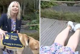 Prezentatoare BBC, răsturnată în direct de câinele-invitat special