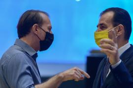 Florin Citu si Ludovic Orban