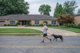 Răpirea animalelor de companie va fi considerată faptă penalp