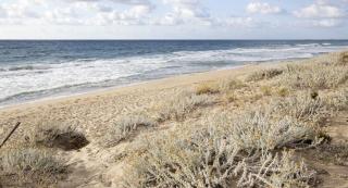 Nisip pe plaja din Sardinia - foto ilustrativ