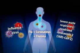 Ilustrație cu expunere multiplă a unui organism la Virus gripal și SARS-CoV-2)