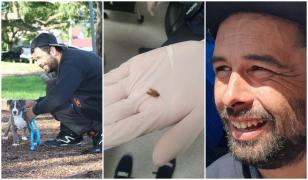 Cum a ajuns un voluntar Greenpeace să "gătească" un gândac ascuns în urechea sa. A stat 3 zile cu uscătorul de păr pornit