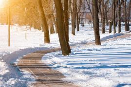 Vremea 15 ianuarie. Se încălzeşte uşor, temperaturile fiind peste normalul perioadei