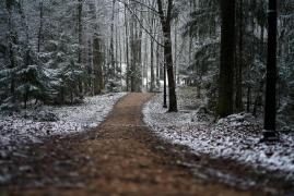 Vremea 24 ianuarie. Temperaturi scăzute pentru această perioadă. Minimele pot ajunge şi la -18 grade