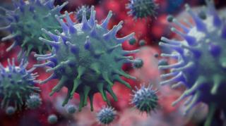 Marea Britanie caută voluntari, tineri sănătoși cu vârste între 18 și 30 de ani, care să se îmbolnăvească de Covid