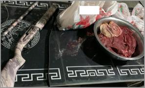 Cerb carpatin vânat de trei brăileni şi tranşat pentru friptură. Bărbații au fost reținuți pentru braconaj cinegetic