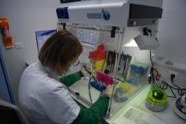 Reacţia OMS, după ce 12 cazuri de infectare cu o nouă tulpină COVID au fost raportate în Franţa