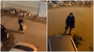 Femeia, aparent epuizată, lasă la un momentdat leul jos pentru a se odihni