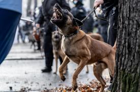 Imagine ilustrativă