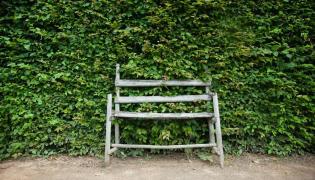 Femeia a spus că foarte multe locuri în care a încercat să locuiască, nu acceptau animalele de companie.