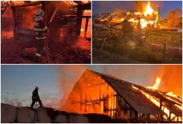 Un adăpost de animale din judeţul Suceava s-a făcut scrum