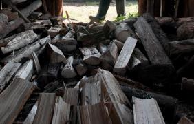 Imagine ilustrativă