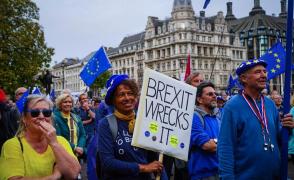 Protestatarii au cerut ca UK să revină în UE