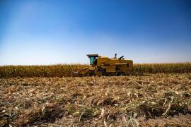 Exporturile de azot ale SUA au crescut pe măsură ce Europa are probleme legate de aprovizionarea cu îngrășăminte