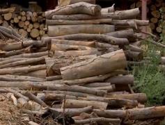 Guvernul vrea să elimine pragul de 400 de lei pentru plafonarea preţului la lemnul de foc. De ce s-a răzgândit după nici o lună