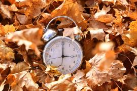 Ceas deşteptător în frunze de toamnă