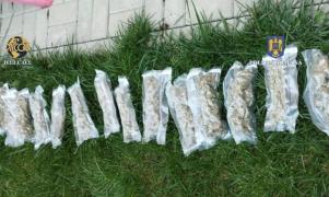 Alte 10 sunt audiate