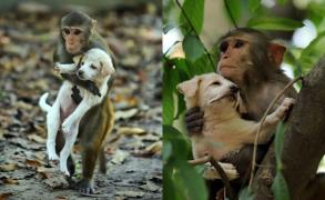 Imaginile incredibile, surprinse de un fotograf în Bangladesh