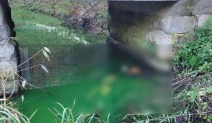 O descoperire macabră în râul Crasna a scos la iveală o crimă cu sânge rece. Remus, un adolescent de 17 ani din Sălaj, ucis cu bestialitate de un recidivist de 35 de ani