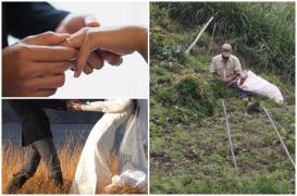 Fermierul se pregăteşte iar de nuntă