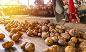 Mama a aflat vestea din presă