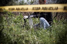 Imagine ilustrativă