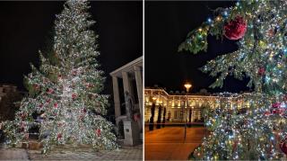 bradul instalat în orașul Bacău stă strâmb