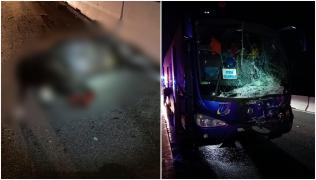 Un taur a fost lovit de un autocar în care se aflau 48 de persoane, dintre care 43 de copii, pe DN1