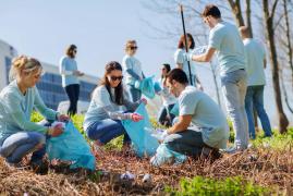 voluntari plantare copaci