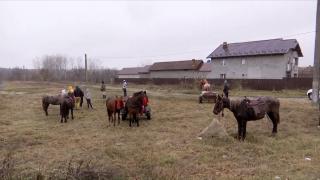 Locuitorii dintr-o comună din Olt sărbătoresc Ziua Națională cu o paradă proprie. Anul trecut atracția principală a fost cazanul de țuică