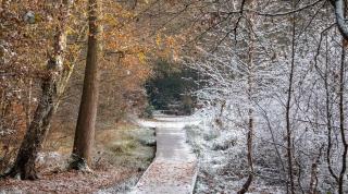 Solstiţiul de iarnă 2022