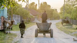 piesaj dintr-o zonă rurală din România