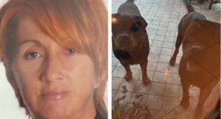 Italianca a fost sfâşiată de cei doi câini în curtea casei