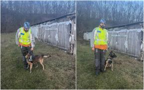 Tânăr din Siliștea Nouă, salvat de la moarte de câinele polițist Coh, după ce a ameninţat că se sinucide