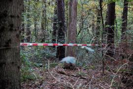 Băiețel născut de doar câteva ore, ucis și aruncat într-o pădure, lângă o cunoscută stațiune de schi din Germania