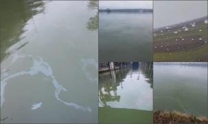 Dunărea poluată cu petrol pe 6 kilometri. Pata se întinde până la ecluza Porțile de Fier I