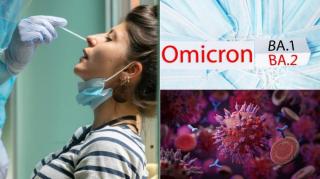 Cât de periculoasă este varianta BA.2, ”sora mai mică” a Omicron