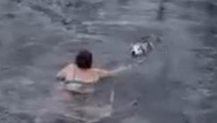 Gest de eroină al unei bătrâne din Rusia. A sărit în apele îngheţate ale unui râu pentru a salva un husky de la înec: "Cred că oricine ar fi făcut la fel"