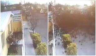 Momentul în care sute de păsări se prăbuşesc din cer, pe o stradă din Mexic. Explicaţia specialiştilor pentru fenomenul bizar. VIDEO