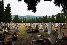 Imagine ilustrativă