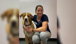 Femeia a folosit mai multe ustensile şi substanţe din cabinet pentru a se otrăvi