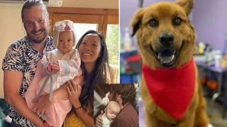 Ultimul mesaj trimis de un tată disperat. Tinerii părinţi, fiica și câinele, găsiţi morţi într-o zonă cunoscută de drumeții din SUA