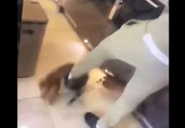 Un fotbalist din Premier League va fi sancționat de clubul la care evoluează după ce au apărut imagini cu el când își bătea pisica