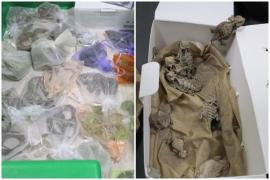 Bărbatul ascundea 52 de reptile