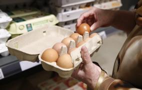 Ouă cu salmonella, pe rafturile din România. Produsele au fost vândute în magazine din Hunedoara, Gorj și Caraș-Severin