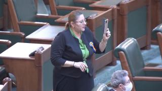 Avertizare Facebook în legătură cu o postare de pe pagina oficială a senatorului Diana Şoşoacă referitoare la poziţia faţă de Ucraina