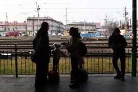 Aproape 300 de ucraineni s-au angajat cu contracte de muncă în România. Ce acte sunt necesare la angajare